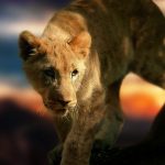 lion_hunt