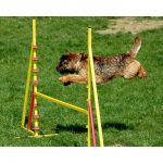 hurdle_01